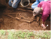 Davide Zori Exhumes Skeletal Remains at the Hrisbrú Graveyard 
